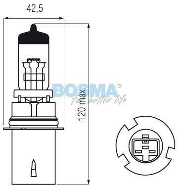 Żarówka 12V HB1 65/45W Bosma *1130* qq