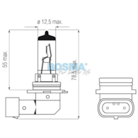 Żarówka 12V H10 42W Bosma *5398*