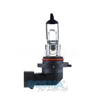 Żarówka 12V H12 53W Bosma *0153*
