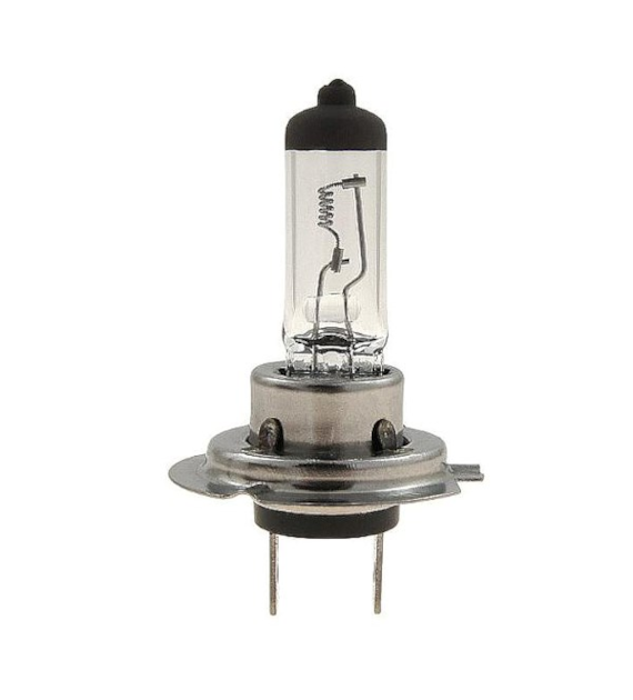 Żarówka EE 12V H7 55W Eagle Eye