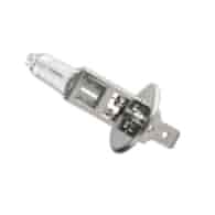 Żarówka EE 12V H1 55W Eagle Eye